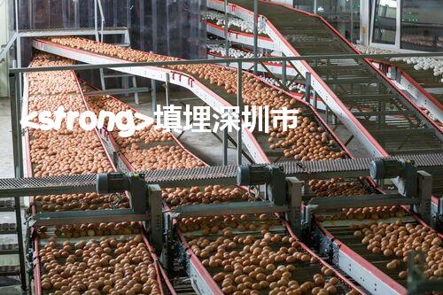 <strong>填埋深圳市危險(xiǎn)廢物處理站有限公司化工設(shè)施安全解體：如何高效處理復(fù)雜工業(yè)遺留問(wèn)題？</strong>